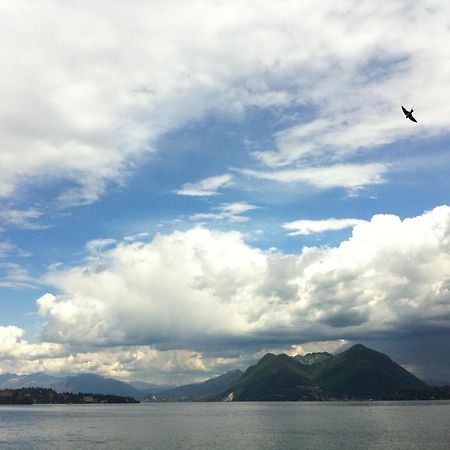 Residenza Le Camelie Apartment ออกเจบบิโอ ภายนอก รูปภาพ